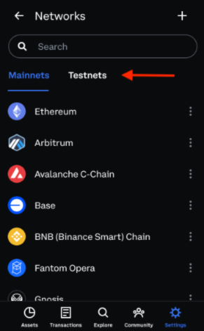 Testnets